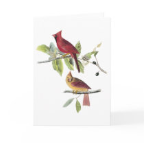 Audubon Northern Cardinal