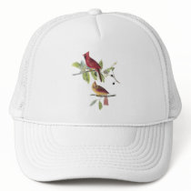 Audubon Northern Cardinal Mesh Hats