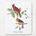 Audubon Northern Cardinal Mouse Pads