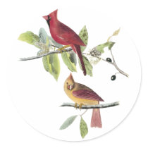 Audubon Northern Cardinal Sticker