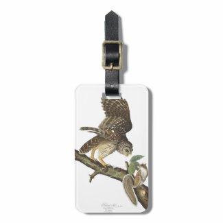 Audubon Plate 46 Barred Owl Tag For Bags