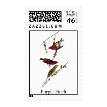 Audubon Purple Finch Stamps