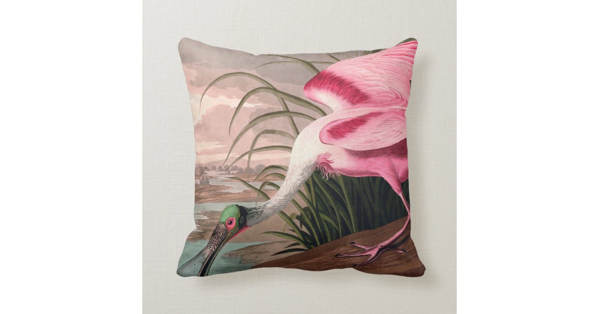 Audubon Roseate Spoonbill Bird Vintage Print Throw Pillow Zazzle
