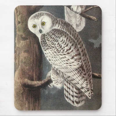 Audubon Snowy Owl Mousepad by DigitalCollageShoppe