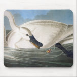 Audubon Swan Mousepad