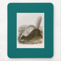 Audubon - Texan Skunk mousepads