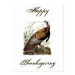 Audubon Thanksgiving Postcard
