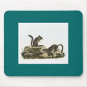 Audubon - Townsend's Ground Squirrel mousepads by LisasLair Audubon - Townsend's Ground Squirrel mousepads