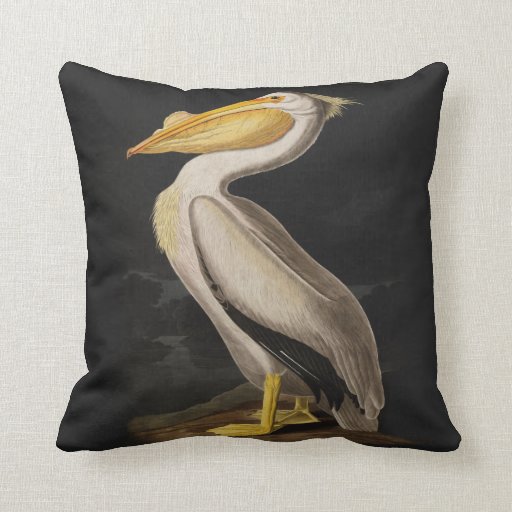 Audubon White Pelican Bird Vintage Print Throw Pillow Zazzle