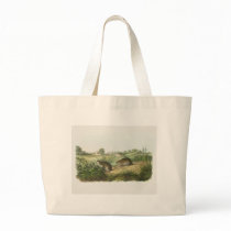 Audubon - Wilson's Meadow Mouse bags by LisasLair Audubon - Wilson's Meadow Mouse bags