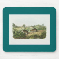 Audubon - Wilson's Meadow Mouse mousepads by LisasLair Audubon - Wilson's Meadow Mouse mousepads
