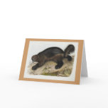 Audubon - Wolverine Greeting Cards