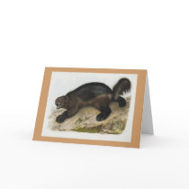 Audubon - Wolverine cards by LisasLair Audubon - Wolverine cards