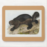 Audubon - Wolverine Mouse Pad