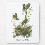 Audubon Yellow-breasted Chat Mousepads