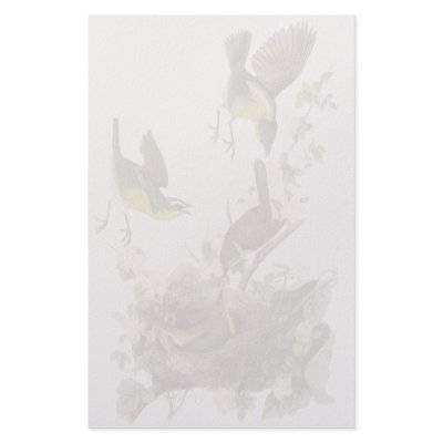 Audubon Yellow-breasted Chat Customized Stationery by VintageCornerStore