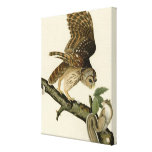 Audubon's Barred Owl Premium Matte Canvas