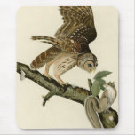 Audubon's Barred Owl Mousepad