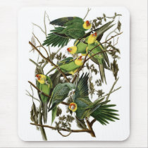 Audubon's Carolina Parakeets Mousepads