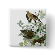 Audubon's Mourning Dove Pinback Buttons