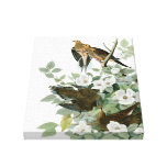 Audubon's Mourning Dove Premium Matte Canvas