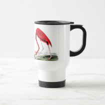 Audubon's Red Flamingo Coffee Mugs