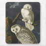 Audubon's Snowy Owls Mousepads