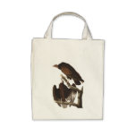Audubon's Turkey Vulture Organic Grocery Tote