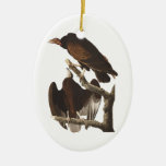 Audubon's Turkey Vulture Oval Ornament