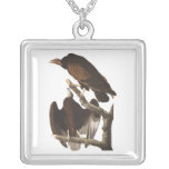 Audubon's Turkey Vulture Silver Plated Necklace