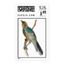 Audubons Warbler bird stamp postage