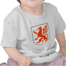 Aufklarungsgruppe 21 4. Staffel Camisetas