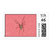 Aug 2006 023 postage