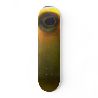 Auge Skateboard Decks by Schwanitz