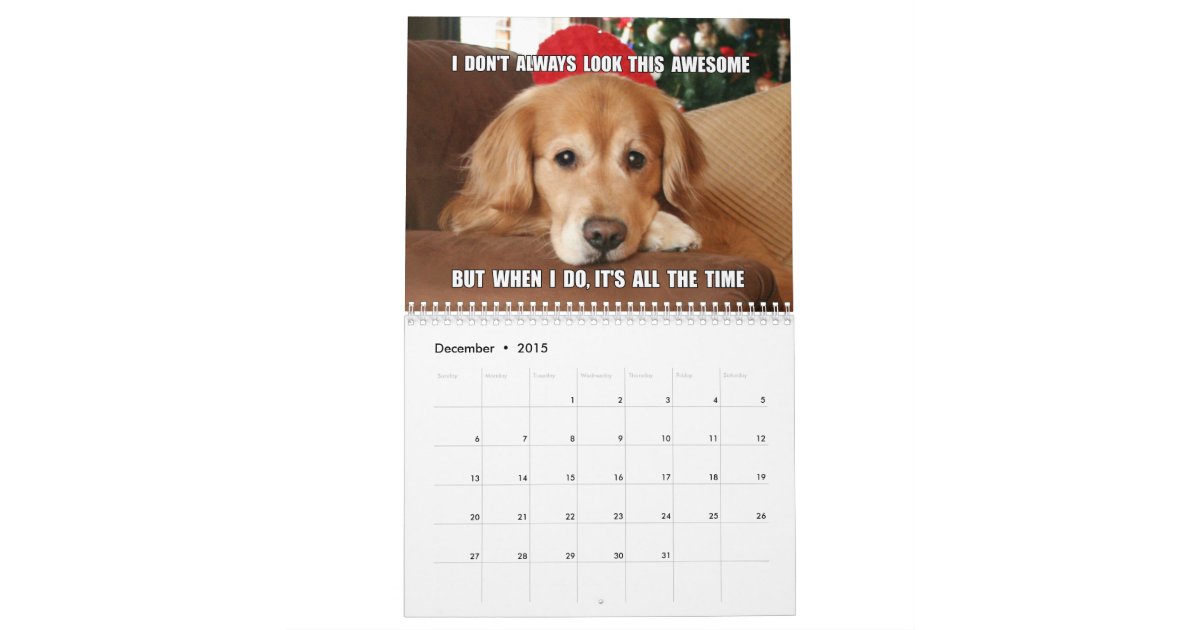 golden retriever jokes augie ti s jokes and memes 2015 golden retriever calendar zazzle golden retriever jokes augie ti s jokes and memes 2015 golden retriever calendar zazzle