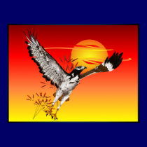Augur meeting the morning sun. 4x3 poster posters