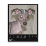 august 2012 calendar flyers