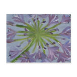 August Agapanthus Postcards