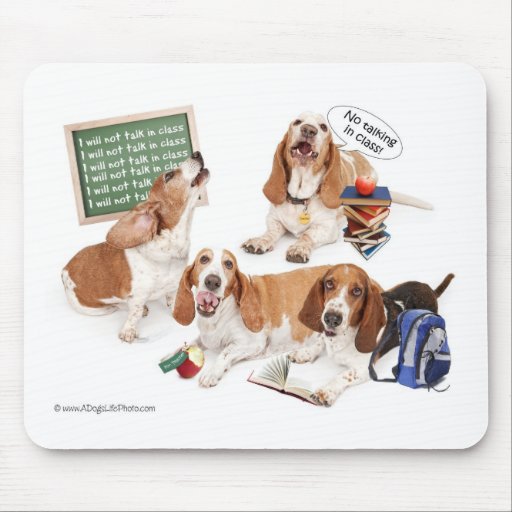 August Mousepads