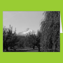 August Mt Hood Card