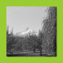 August Mt Hood Magnet magnets