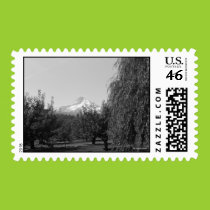 August Mt Hood Postage postage