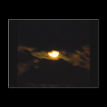 August Night Sky postcards
