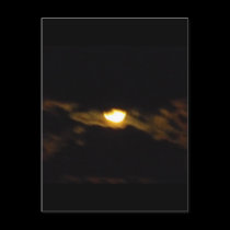 August Night Sky postcards