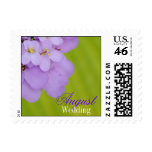August Purple Flowers Wedding Postage