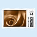 August Rose Wedding Postage Stamp by TDSwhite August Rose Wedding Postage Stamp