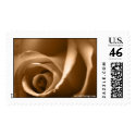 August Rose Wedding Postage Stamp stamp