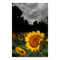 August storm posters by GinaSignore August storm posters