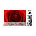 August Wedding Classic Red Rose Postage Stamp by Sialicious August Wedding Classic Red Rose Postage Stamp