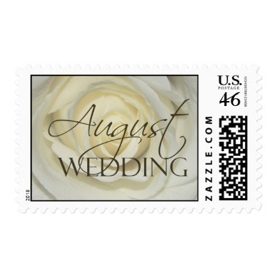 August Wedding cream rose Postage Stamp